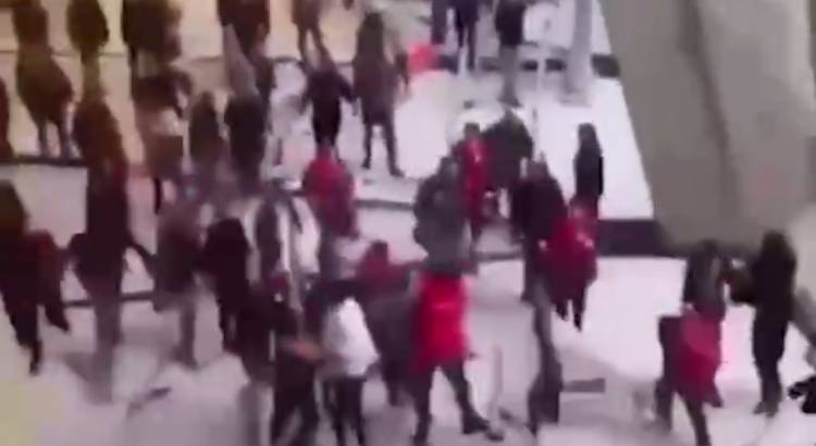 Փարիզի օդանավակայանում ծեծկռտուք է եղել, երբ փորձել են քուրդ ակտիվիստին արտաքսել Թուրքիա (տեսանյութ)