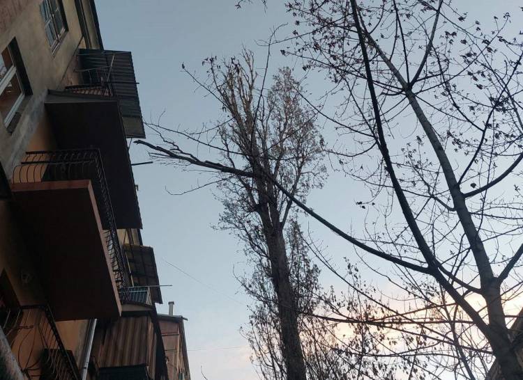 Վնասներ քամու հետևանքով