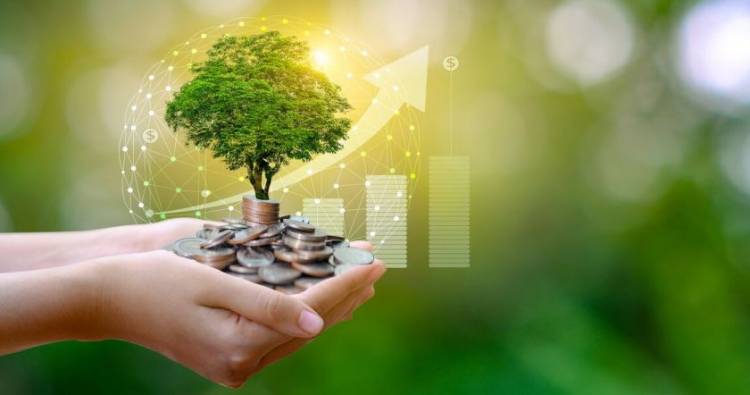 Կենդանակերպի նշաններ, որոնց համար 2024 թվականի ամառը մեծ գումարներ կբերի