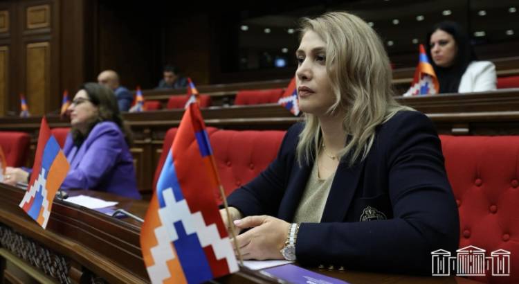 Դրա համար պետք է գնալ խաղաղ հանրահավաքին․ Էլինար Վարդանյան