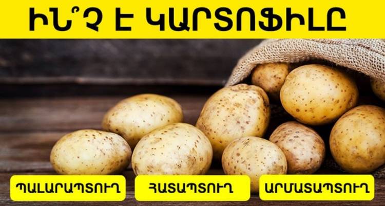 Համարո՞ւմ եք Ձեզ կիրթ ու զարգացած, ուրեմն անցեք այս թեստը և ապացուցեք դա