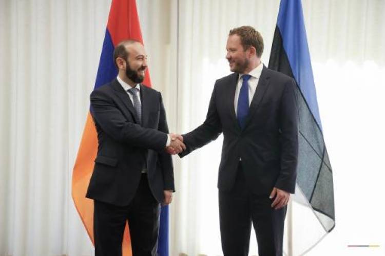 Միրզոյանը շնորհակալություն է հայտնել Մարգուս Ցահքնային՝ ՀՀ-ում եվրոպական ձգտումներին աջակցելու համար