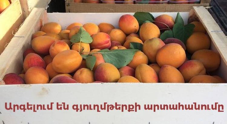 Հայկական կողմը խոչընդոտում է դեպի ՌԴ գյուղմթերքի արտահանումը․ պատգամավոր