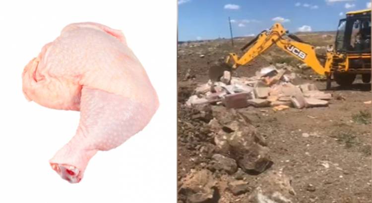 Ի՞նչ զարգացումներ կան ոչնչացման ենթակա հավի միսը թաղման վայրից տեղափոխած «Արմեն-Համիկ եղբայրներ» ՍՊԸ-ի գործով
