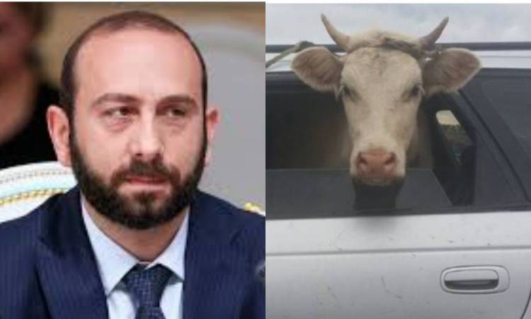 «Անասնապահը»