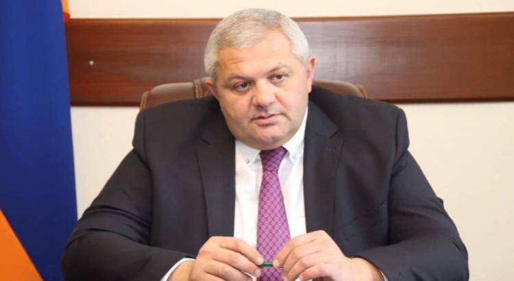 Վանաձորի թնջուկը կամ մի գողացված ընտրության պատմություն