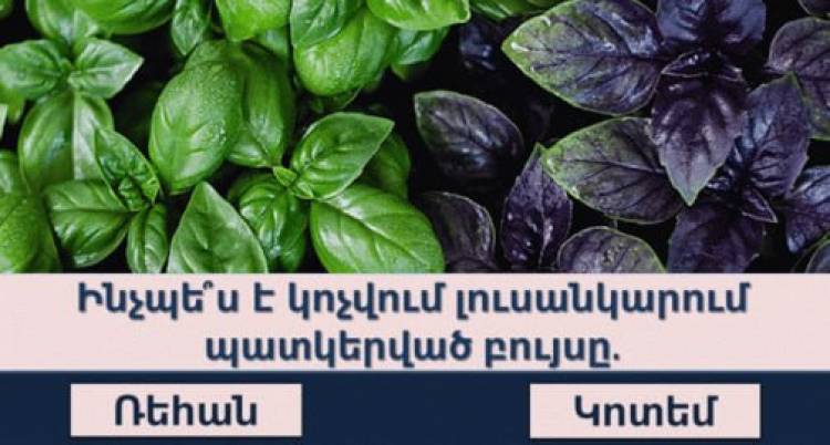 Բազմագիտակության թեստ բոլոր նրանց համար, ովքեր սիրում են մարզել ուղեղը