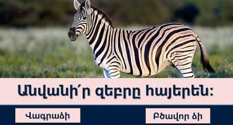 Կկարողանա՞ք հաղթահարել հայոց լեզվի այս պարզ թեստը՝ հավաքելով 10/10 միավոր