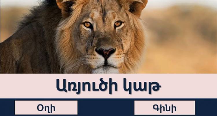 Թեստ. կկարողանա՞ք ճիշտ նշել շրջասույթների իմաստը