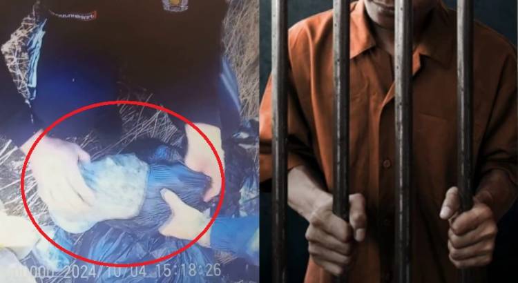 Շուրջ 14 կգ թմրամիջnցի շրջանառություն․ կալանավորվածներ կան (տեսանյութ)
