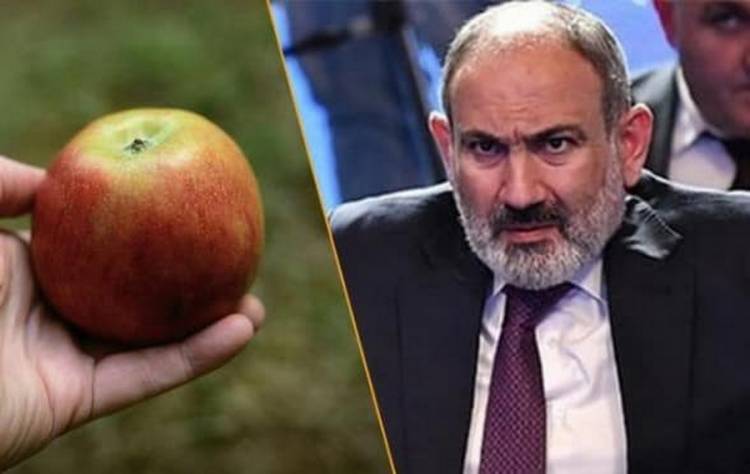 Որ հայտնի դատավորն է քննելու Փաշինյանի վրա խնձոր նետելու քրեական գործը. «Ժողովուրդ»