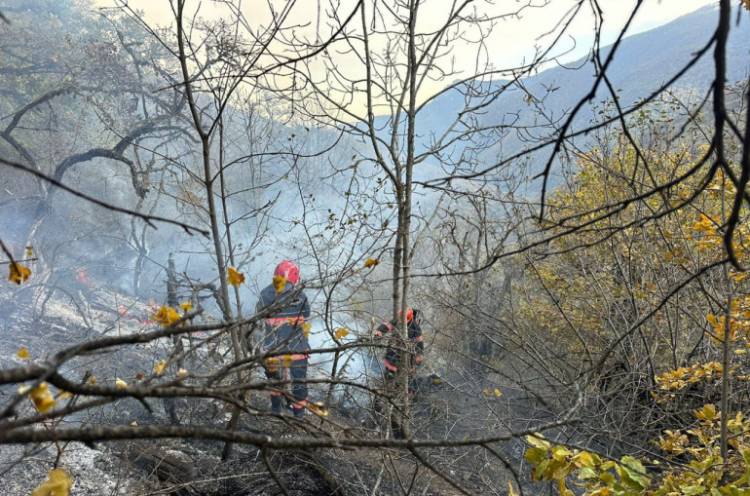 Հրդեհ՝ Սյունիքում․ հրշեջներին հաջողվեց կանխել կրակի տարածումը դեպի անտառ