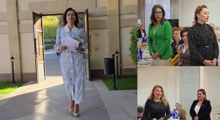 Աննա Հակոբյանն իր համակիրների հետ «կրթության» հարցեր է քննարկել (տեսանյութ)