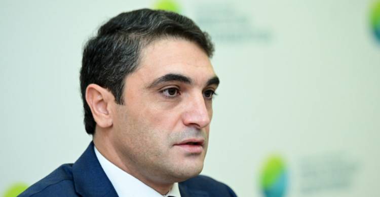 Սեւանա լճի անտառտնկարկների մաքրման աշխատանքները ձախողվել են. «Ժողովուրդ»