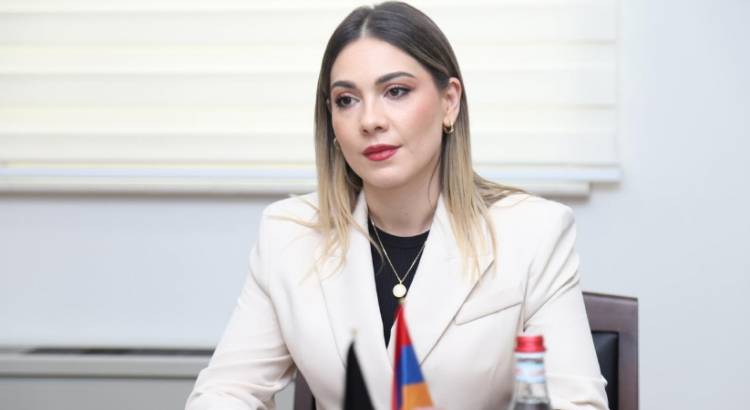 Իսկապե՞ս նախարարը շփոթել էր․ դեռ մրցույթը չեղած՝ Գալյանն արդեն իր թեկնածուն ունի