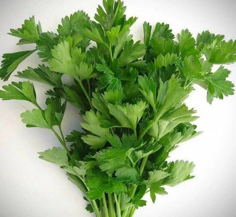 Մաղադանոսը սննդակարգում. ո՞վ չպետք է ուտի