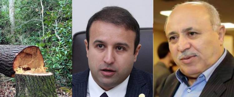 Մարզպետի հետ քաշքշուկից հետո ՔՊ-ում Հայկ Սարգսյանին «մեղադրում են» փայտանյութի բիզնեսի հետաքրքրության համար. «Ժողովուրդ»