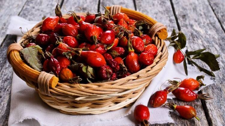 Մասուրի մեջ հայտնաբերվել է նյութ, որը քայքայում է քաղցկեղի բջիջները․ մանրամասներ