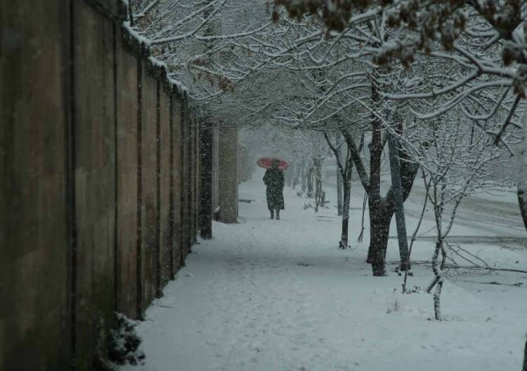 Երևանում ձյուն կգա՞