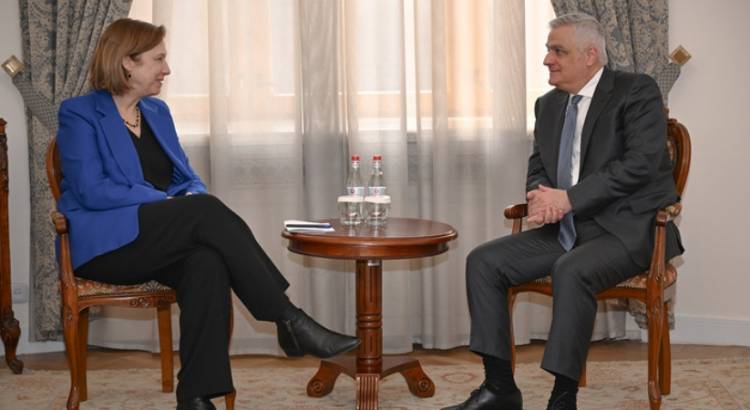 Մհեր Գրիգորյանն ընդունել է ԱՄՆ դեսպանին