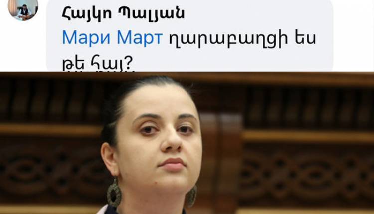 ՔՊ-ական Էմմա Պալյանի եղբայրը փոշմանել է