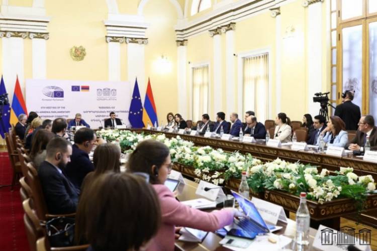 Թե չէ միայն «ջան» էին ասելու, «ջան» լսեն. «Փաստ»