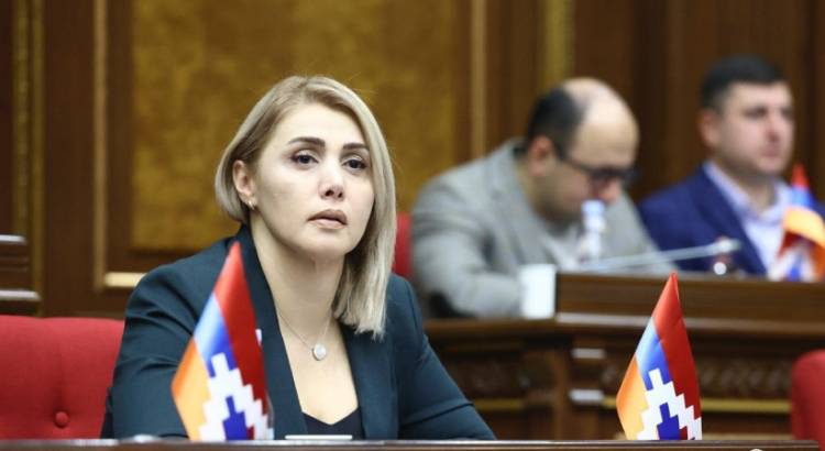 Պատերազմ բիզնեսի և քաղաքացու դեմ․ Էլինար Վարդանյան
