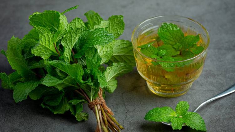 Ամենահզոր կանաչին գլխացավի, արյան ճնշման, քաղցկեղի կանխարգելման համար և ոչ միայն