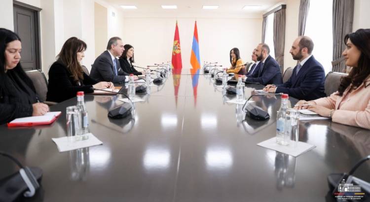 Միրզոյանը հանդիպել է Չեռնոգորիայի արտաքին և եվրոպական գործերի փոխվարչապետի հետ