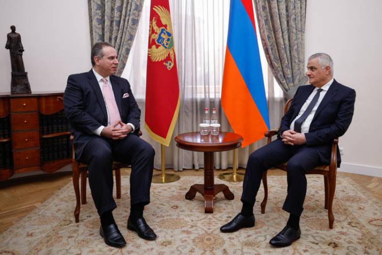 Մհեր Գրիգորյանն ընդունել է Չեռնոգորիայից ժամանած պատվիրակությանը