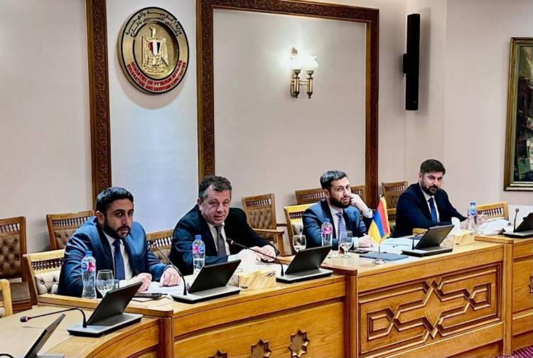 Վահան Կոստանյանի և Վաել Համեդի գլխավորությամբ քաղաքական խորհրդակցություններ են անցկացվել