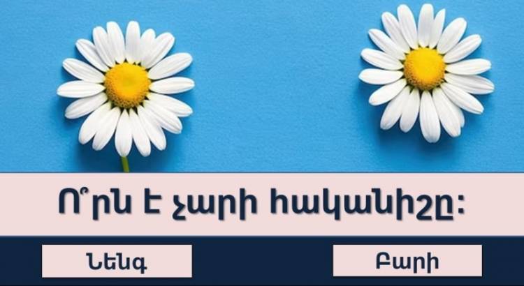 Կկարողանա՞ք հաղթահարել հայոց լեզվի այս պարզ թեստը՝ հավաքելով 10/10 միավոր