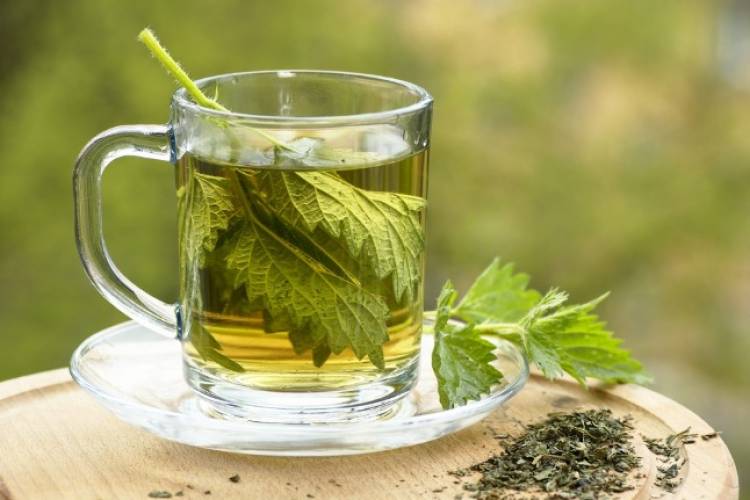 Ամենահզոր բույսը, որն օգտակար է շագանակագեղձին, կանխարգելում է վարակների առաջացումը
