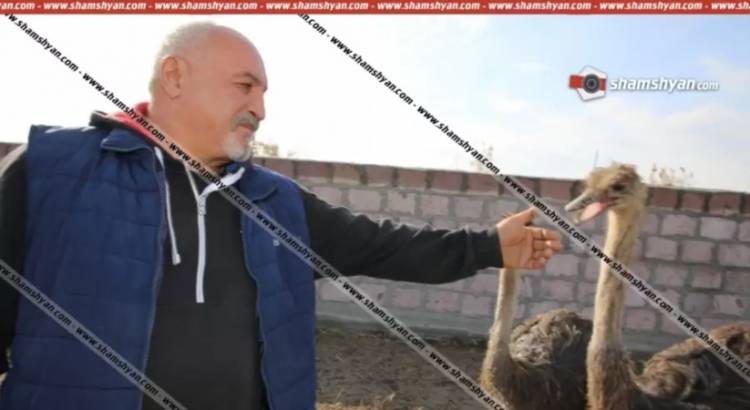 Առեղծվածային դեպք, ջայլամաբուծությամբ զբաղվող ձեռներեցը hրազենային վնաuվածքով տեղափոխվել է հիվանդանոց․ Shamshyan