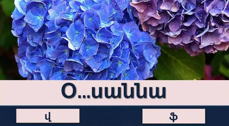 Վստա՞հ եք, որ կկարողանաք հաղթահարել այս թեստը