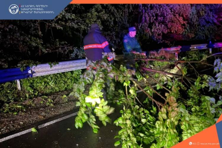 Դսեղ գյուղ տանող կամրջի մոտ ծառ է ընկել. երթևեկությունը դարձել է միակողմանի