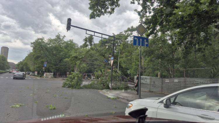 Քամի ու սարսափելի փոշի է բարձրացել Երևանում. կան տապալված ծառեր, պոկված տանիքներ (տեսանյութ)