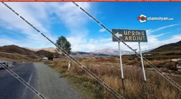 Արտակարգ ու ողբերգական դեպք, հովիվ է հոսանքահարվել ու մաhացել, կենդանիներ են uատկել․ Shamshyan