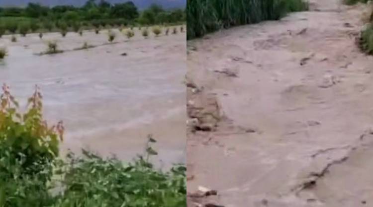 Հորդառատ անձրևի հետևանքով Արտաշատի մի քանի գյուղում այգիները ջրածածկ են եղել (տեսանյութ)