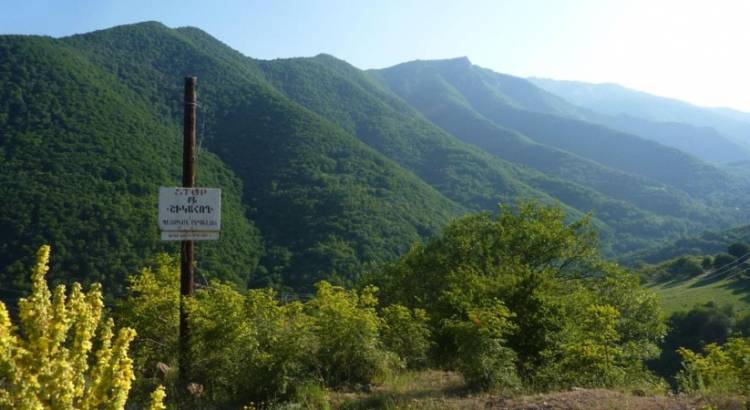 Ադրբեջանը Շիկահողի արգելոցում 60 հա անտառ է հատել. պետական մարմինները լռում են